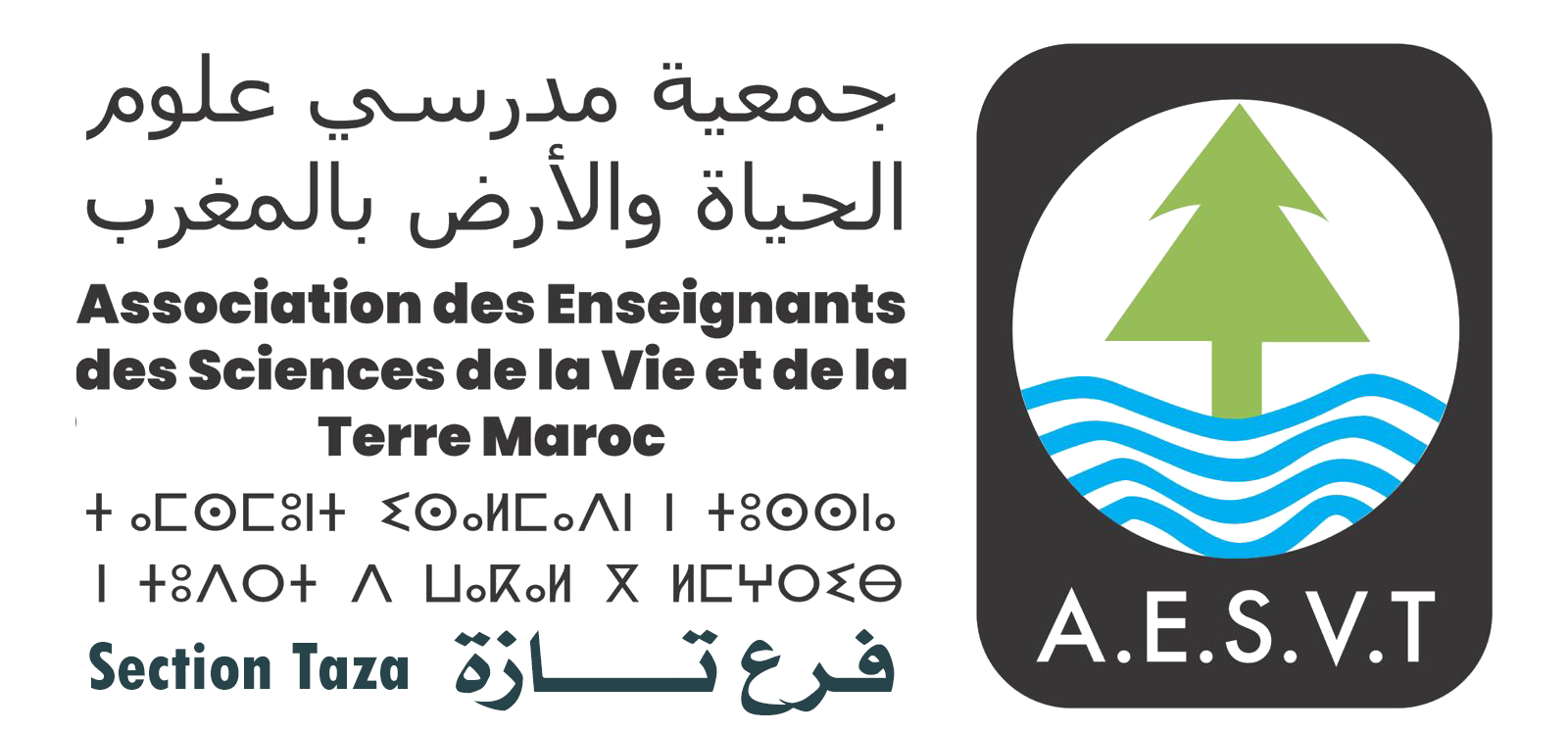 aesvt-taza